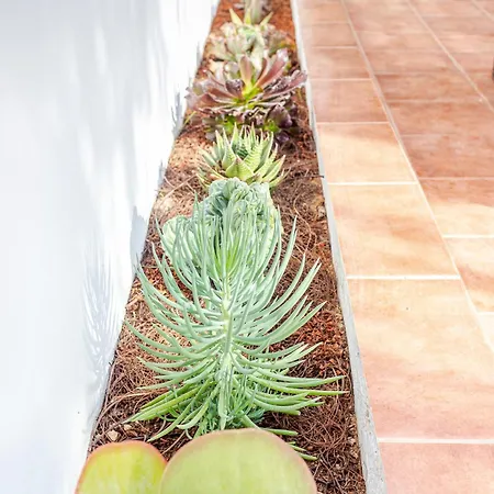 Sonneland Large & Private Terrace * Maspalomas (Gran Canaria)