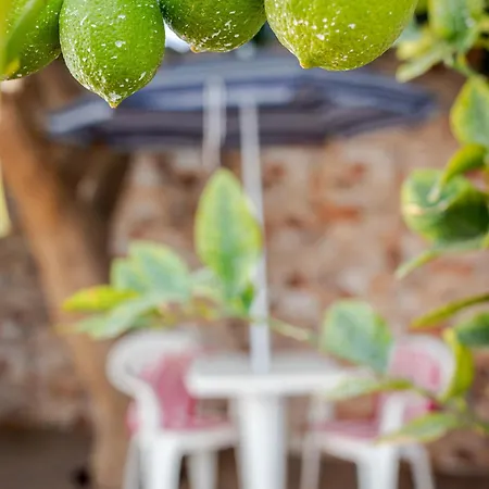Sonneland Large & Private Terrace *