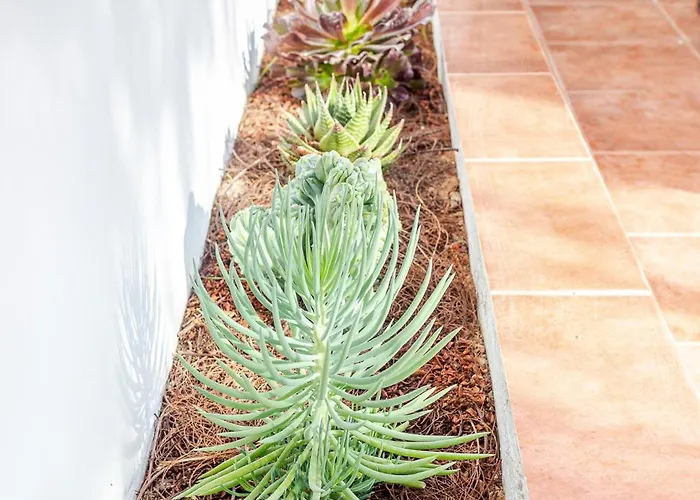 Sonneland Large & Private Terrace * Maspalomas (Gran Canaria)